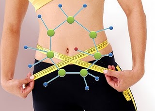 metabolism