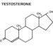 mejora tu entrenamiento - testosterona