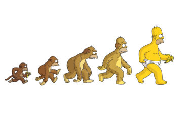 evolucion nutricion