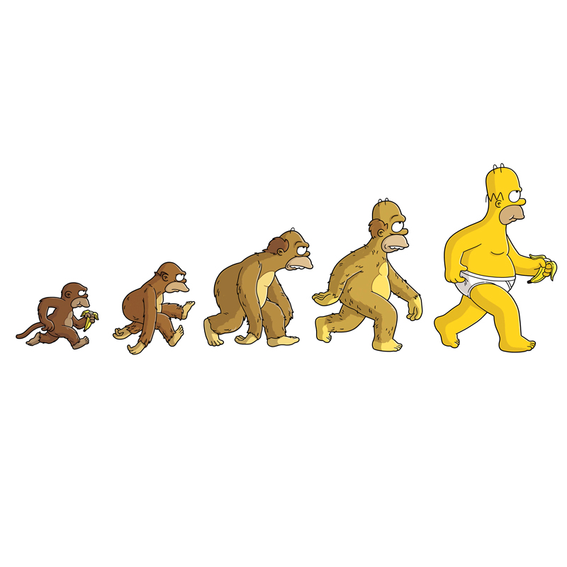 evolucion nutricion