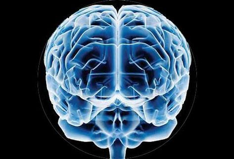L-Carnitina para mejorar tu funcion cerebral