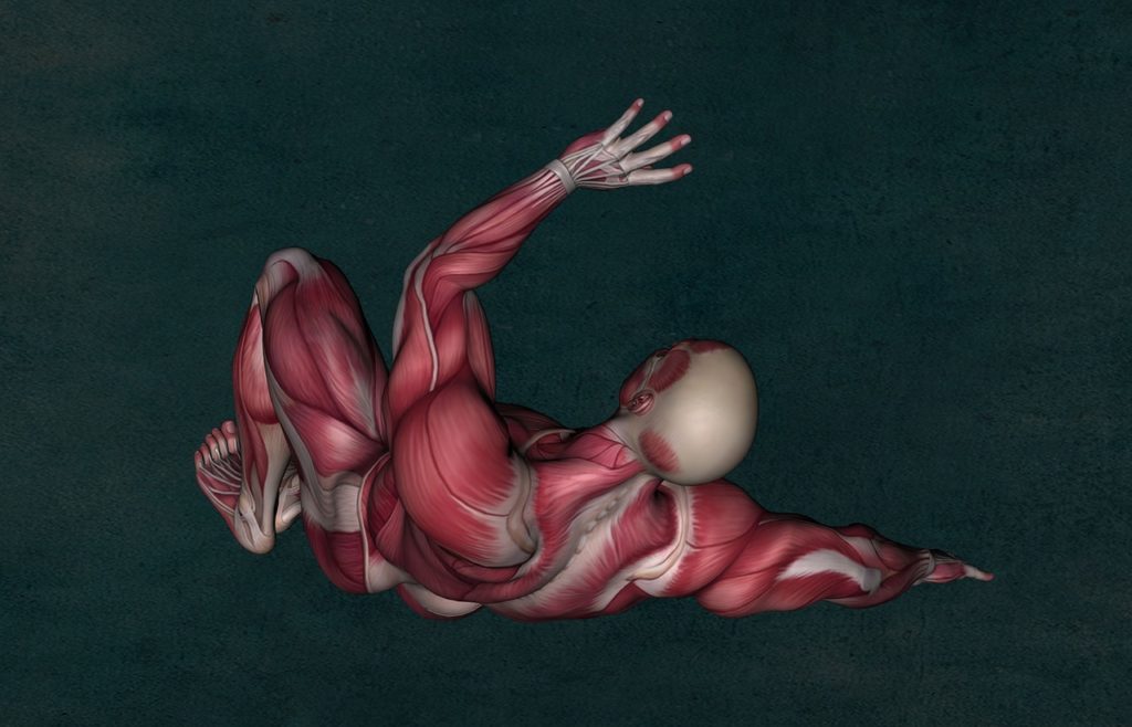 Ganar masa muscular